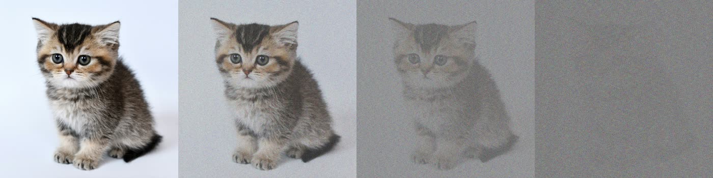 Four panels of the same kitten photo, progressively more noise added left to right, until the fourth panel is almost pure static